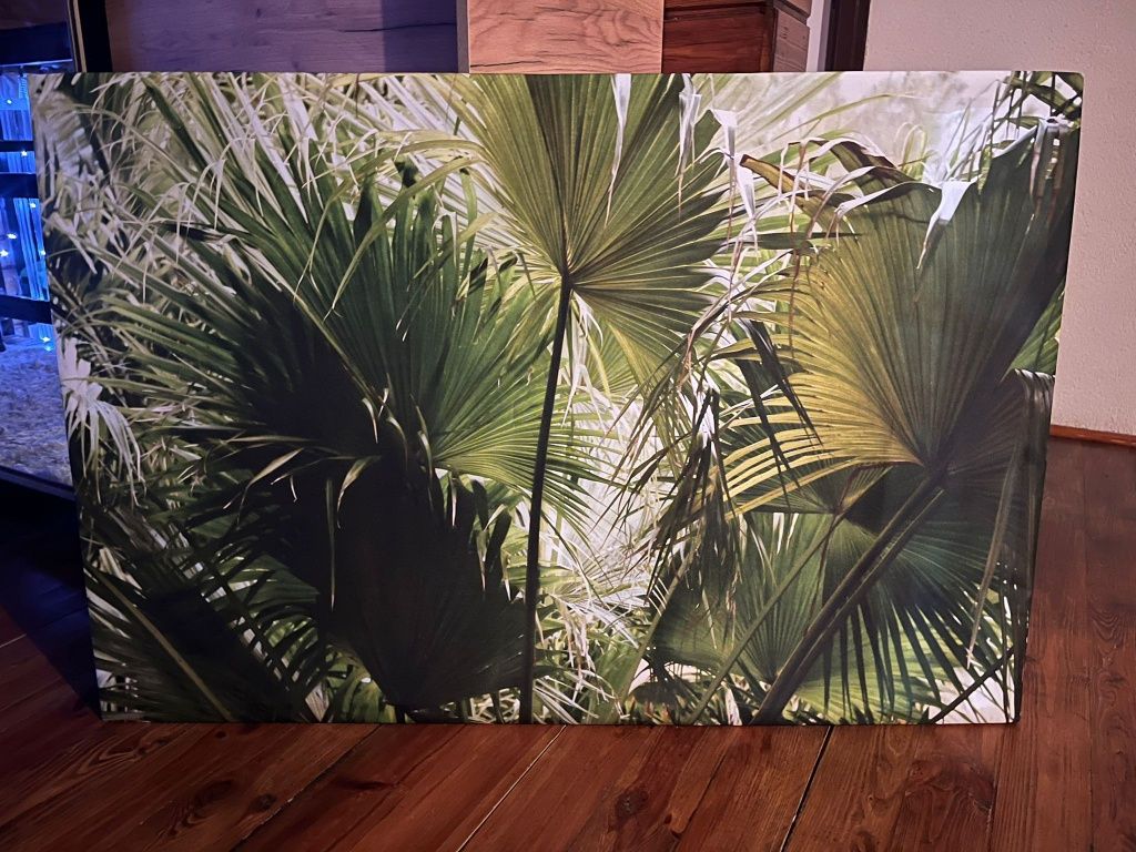 piękny duży obraz Monstera, Las z ramą  - 120x80 cm -