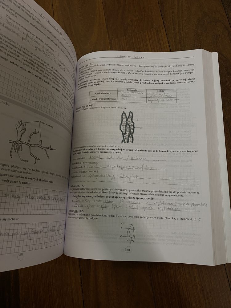 Biologia 2 Nowy Witowski