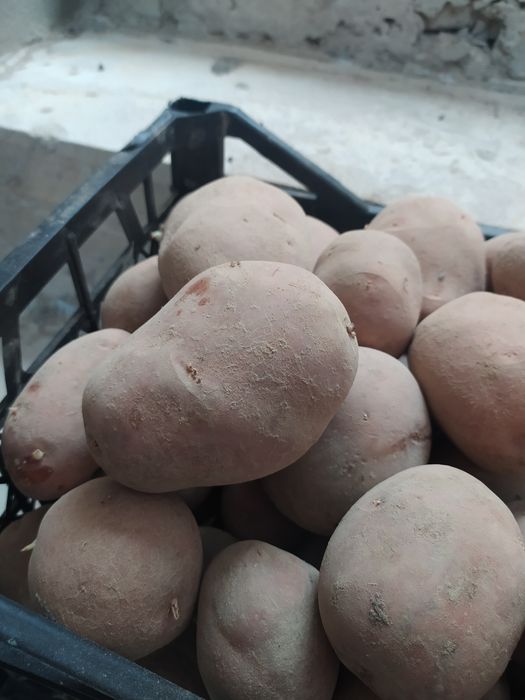 Продам дуже гарна