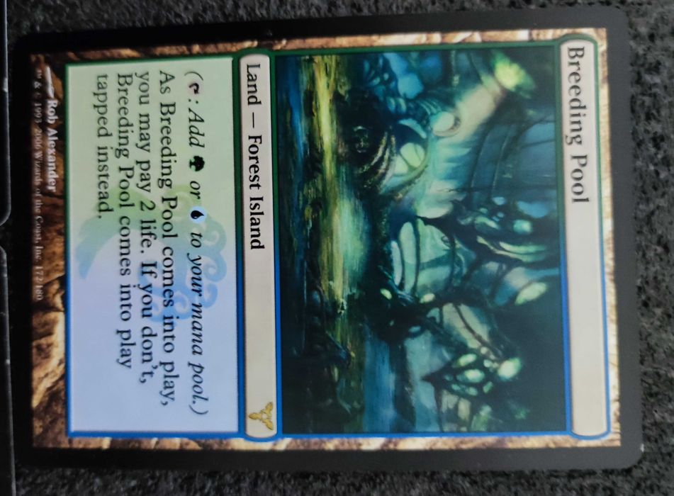 MTG Gatecrash Land´s Breeding Pool