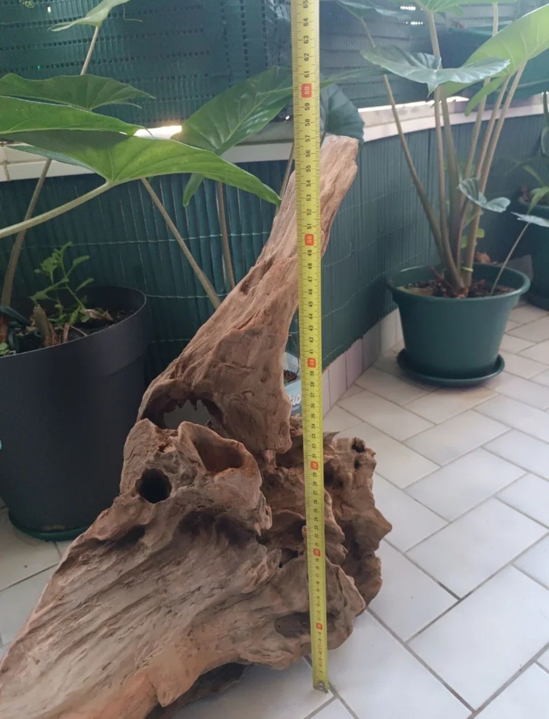 Tronco de aquário