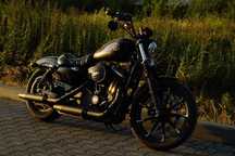 HARLEY-DAVIDSON XL883 N Sportster Iron 2020