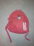 Mochila do Benfica