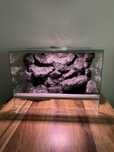 Super Terrarium 40x30x30
