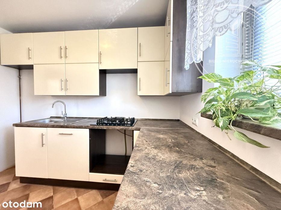 Przestronne mieszkanie/ 65,08 m2/ parter/ blok /