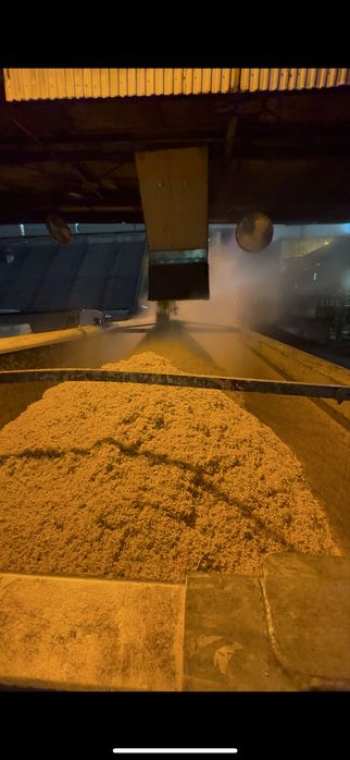 Wysłodki buraczane paszowe 26.000kg