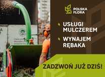 Wycinka drzew, pielęgnacja drzew, sprzedaż drewna. BEZPŁATNA WYCENA