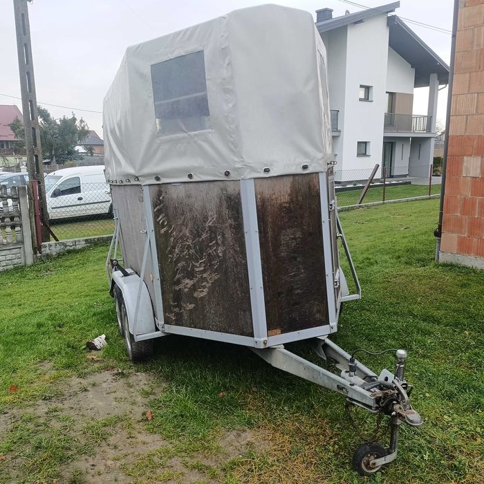 Przyczepa do przewozu koni