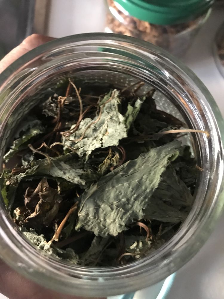 Chas e aromáticas, cidreira, menta, louro (secas ou desidratadas)
