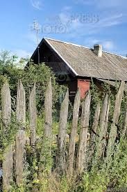 Щукаю диляну в броварах