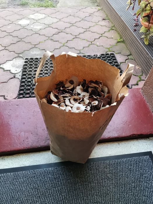 Borowik suszony Cały (kapelusze) 2025r,ł