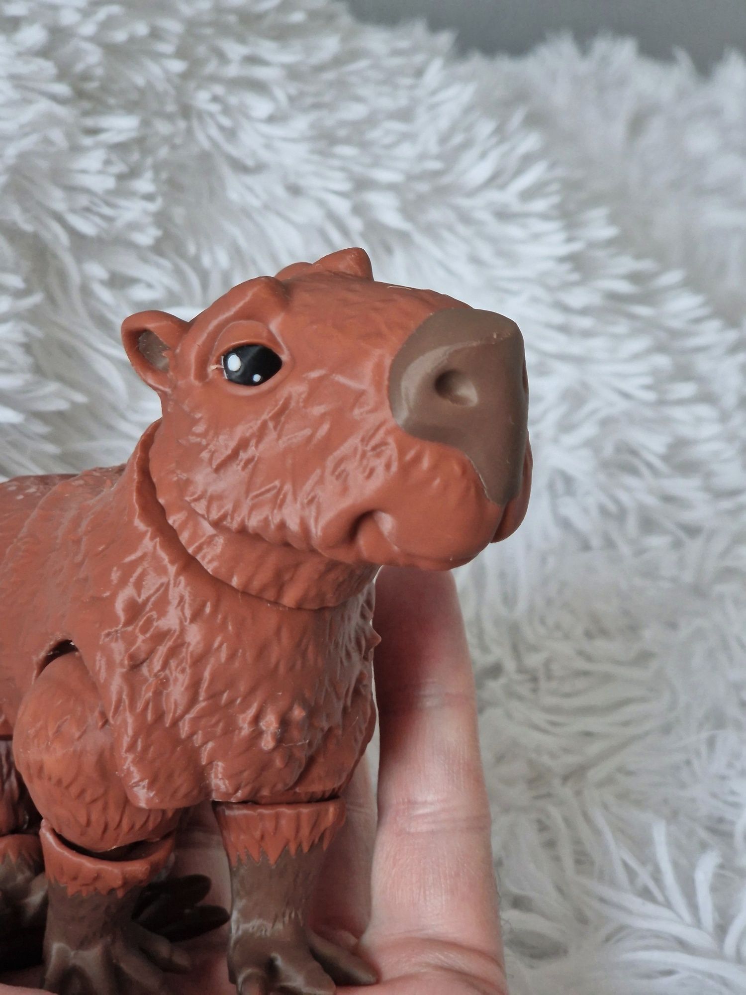 Felxi kapibara, capybara piękna, duża!
