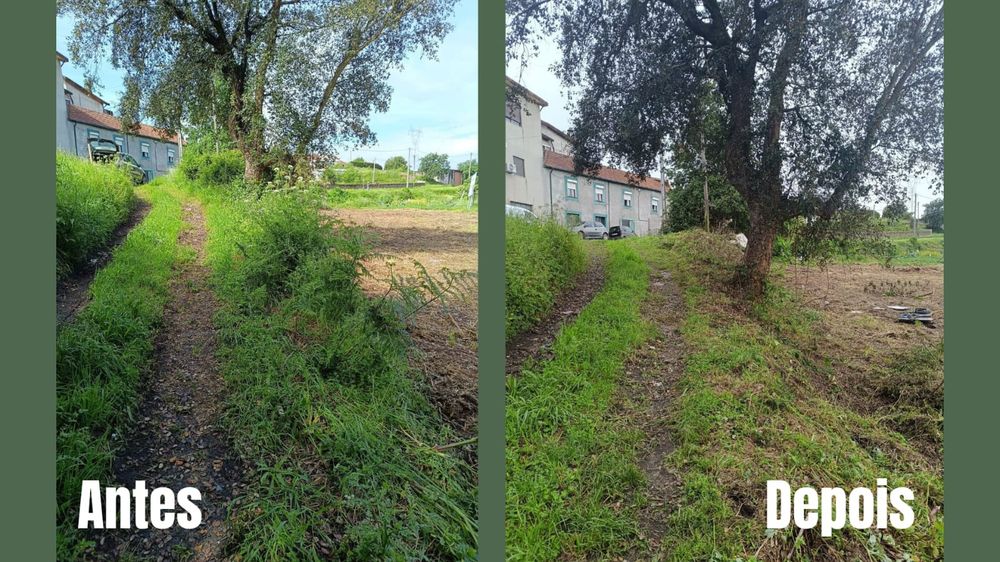 Limpeza de terrenos e jardins