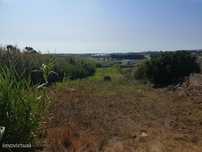 Terreno entre a cidade e as praias com 3720m2
