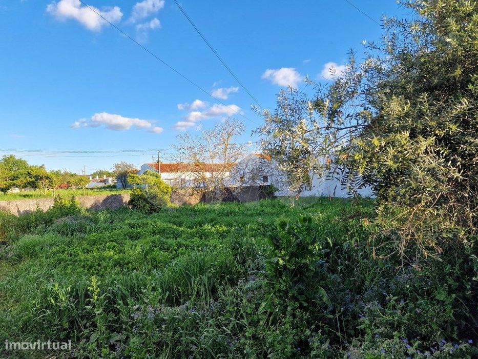 Terreno para Construção em Vila Nova da Baronia