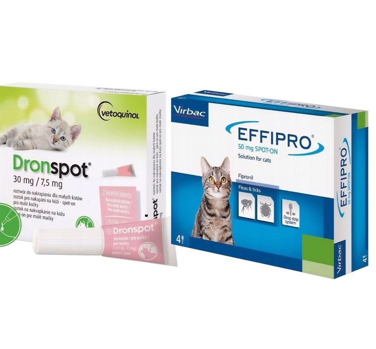 Dronspot dla Małych Kotów 1x0.35ml+effipro kot 4xpipetki