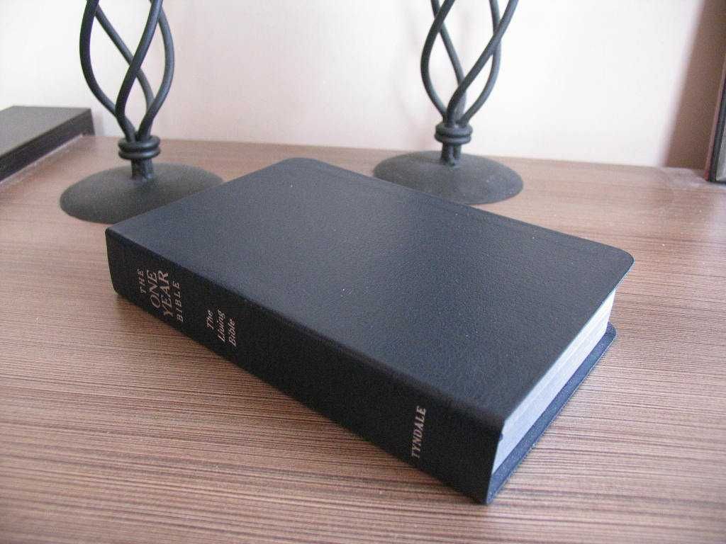 The One Year Bible - Biblia w języku angielskim