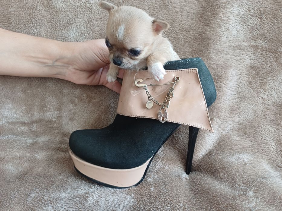 Мини девочка красотка