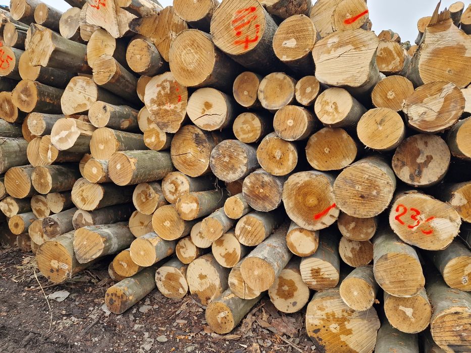 TANIE Drewno kominkowe BUK opałowe bukowe z dowozem