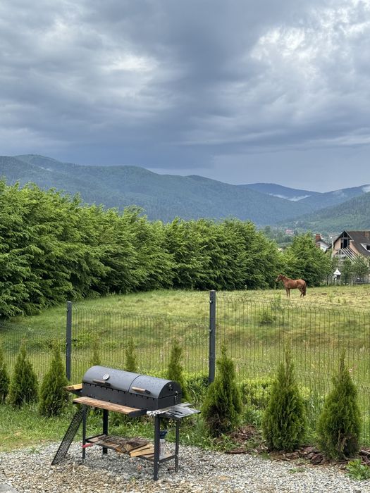Оренда котеджу в Карпатах з безлімітним чаном