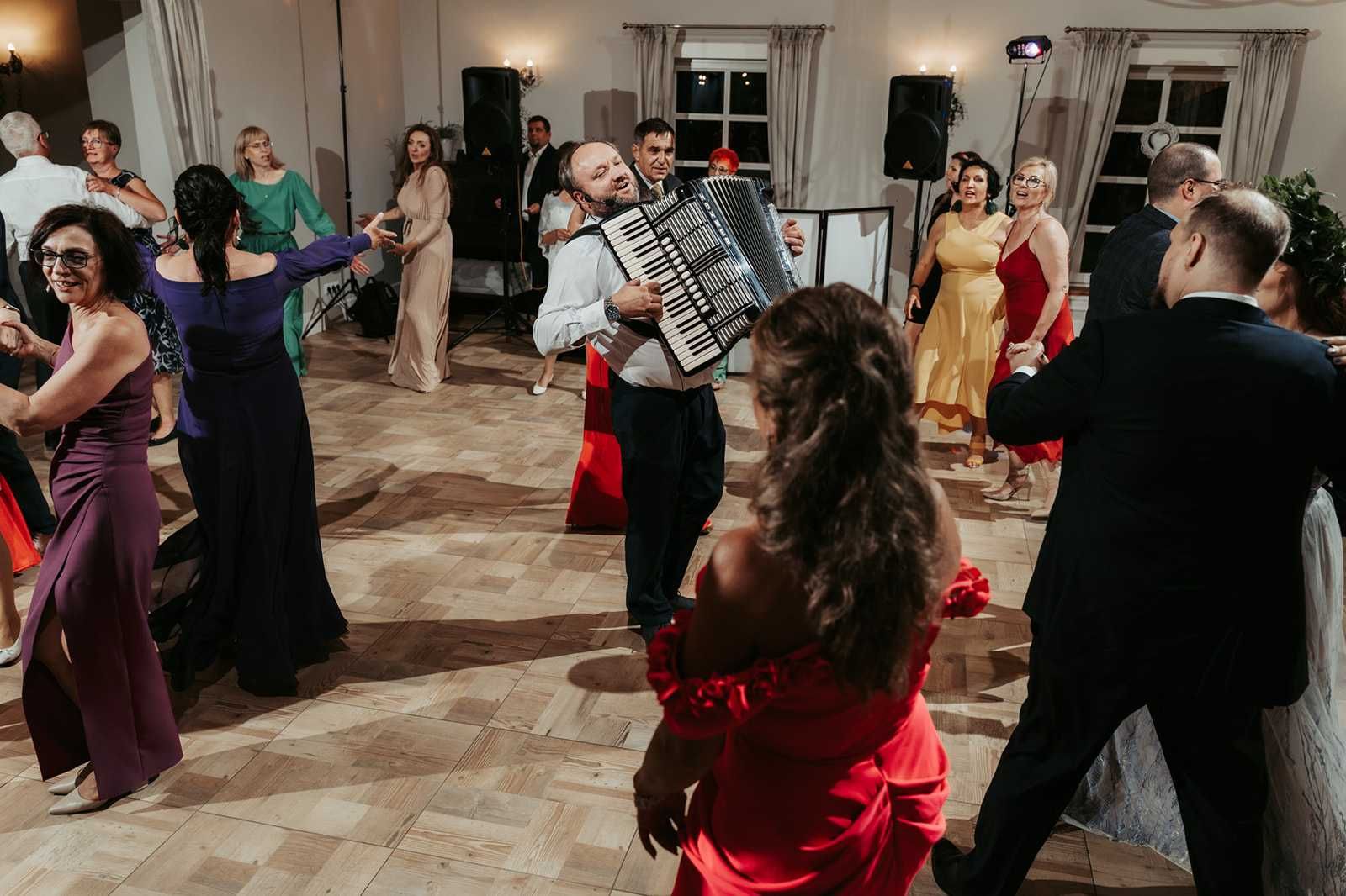 akordeonista do wynajęcia