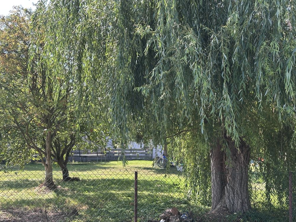 Od 10 wrzesnia Wynajme dom z ogrodem na wsi  z ogrodem 95 m2
