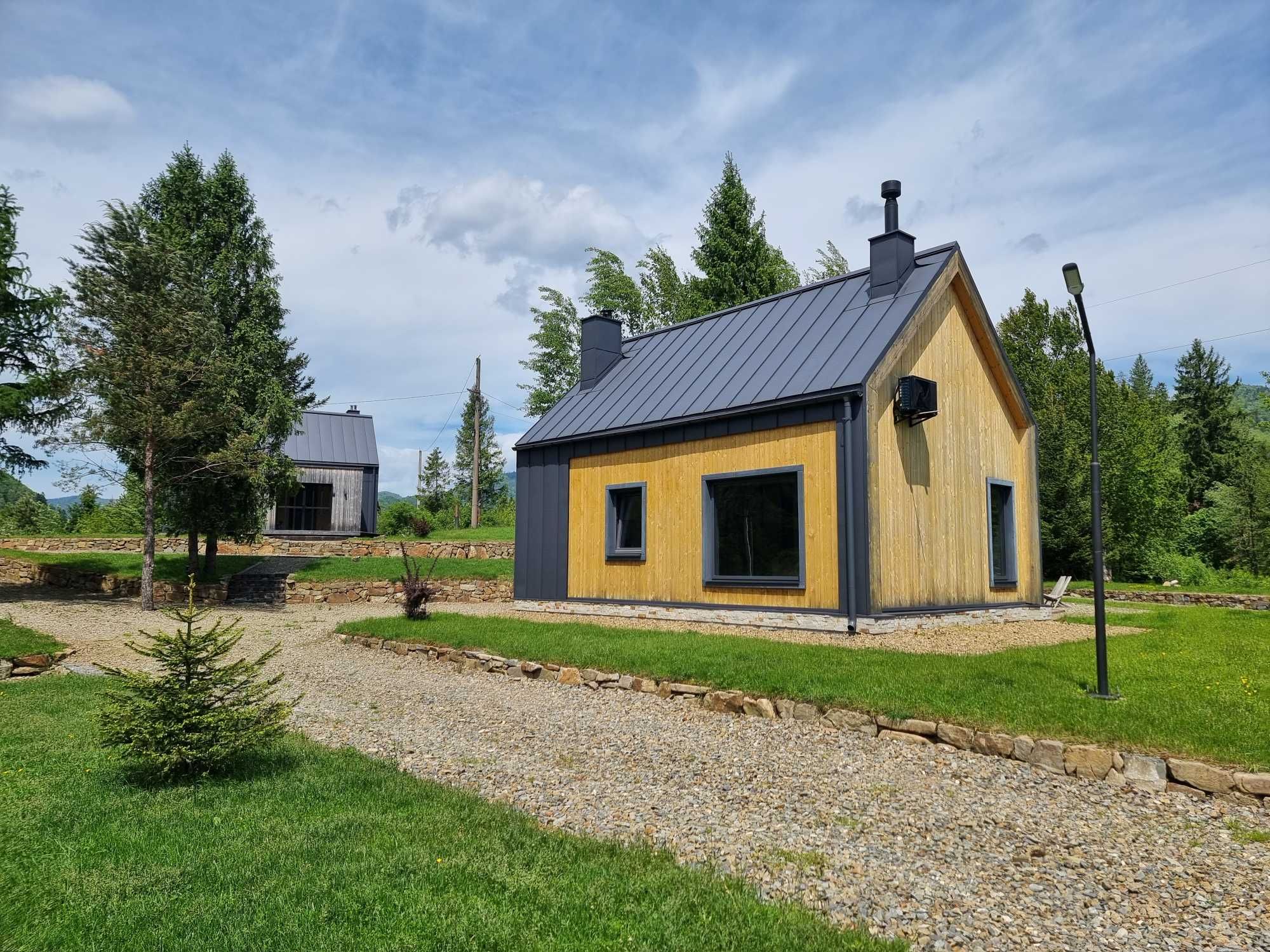 Продаж два будинки 116.5 м.кв. 24 сот. вул. Шевченка 164 с. Гребенів