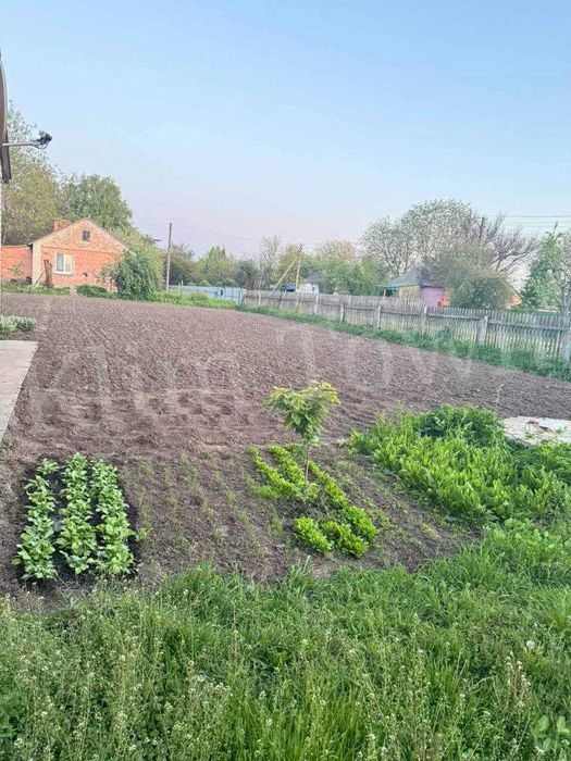 Продається будинок у с. Лецьки