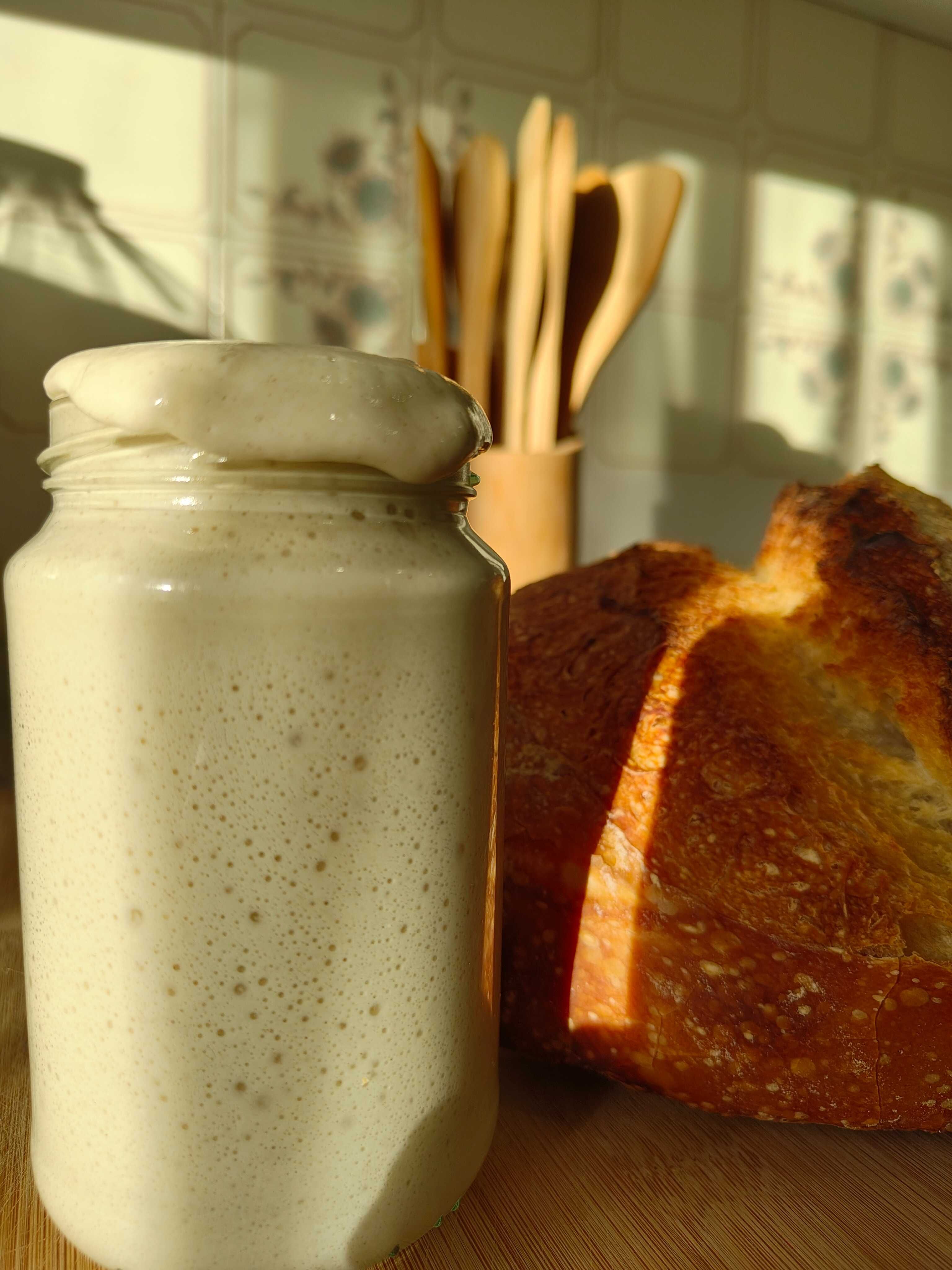 Fermento natural (Levain)
