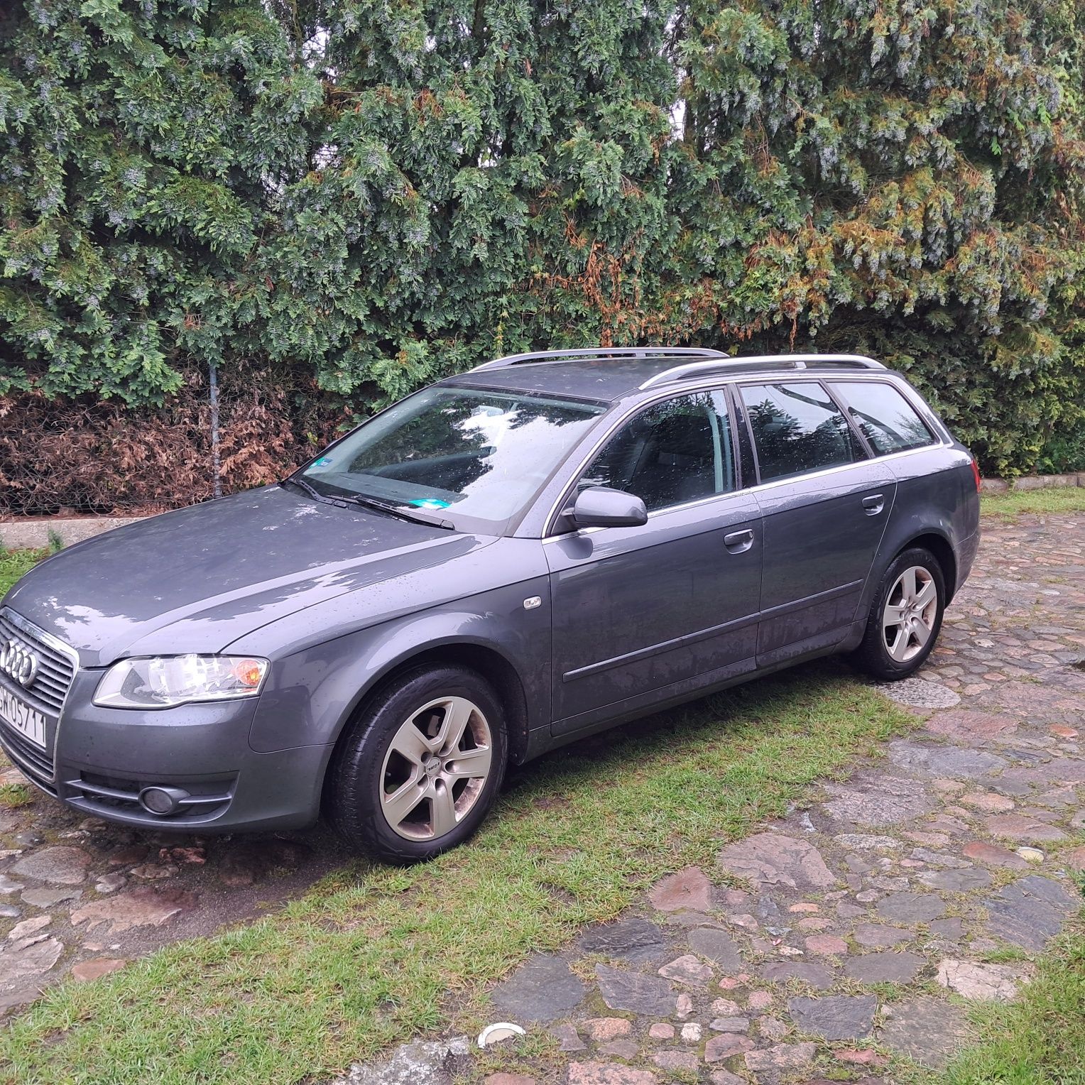 Audi A4 B7 2005 2.0