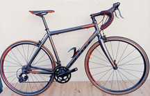 JF-Bikes Scott Spedster 60 M