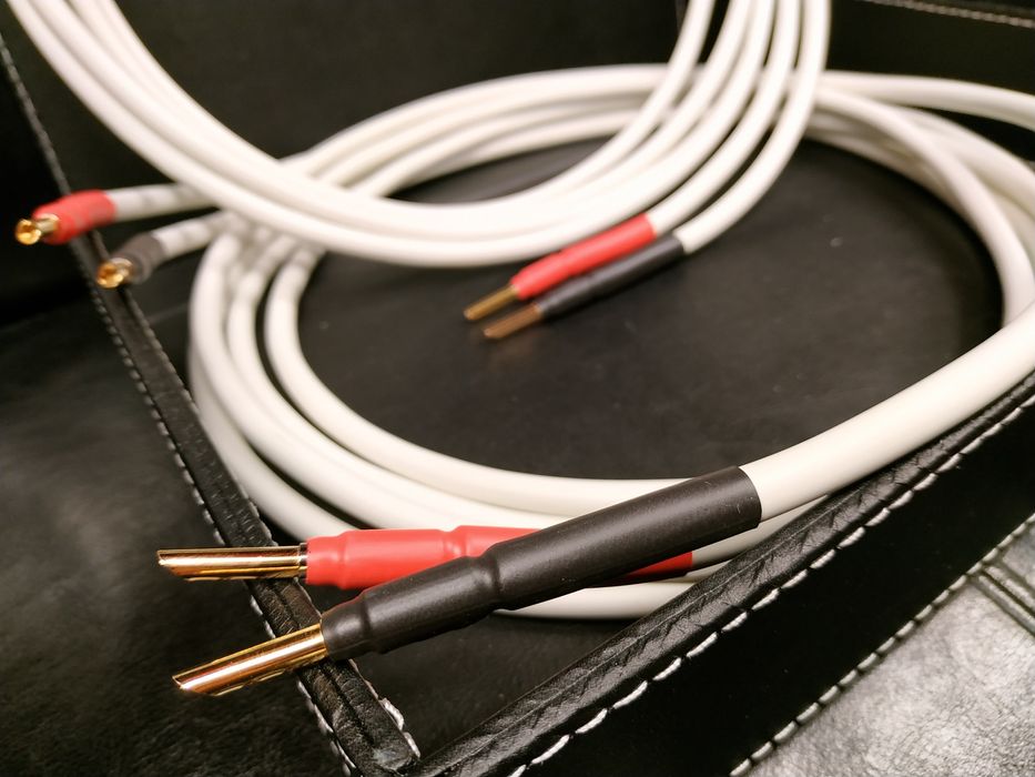 Chord Odyssey X Gemini wtyk kable głośnikowe Trans Audio Hi-Fi Wrocław