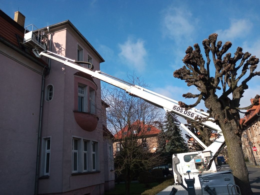 Usługi podnośnikiem koszowym