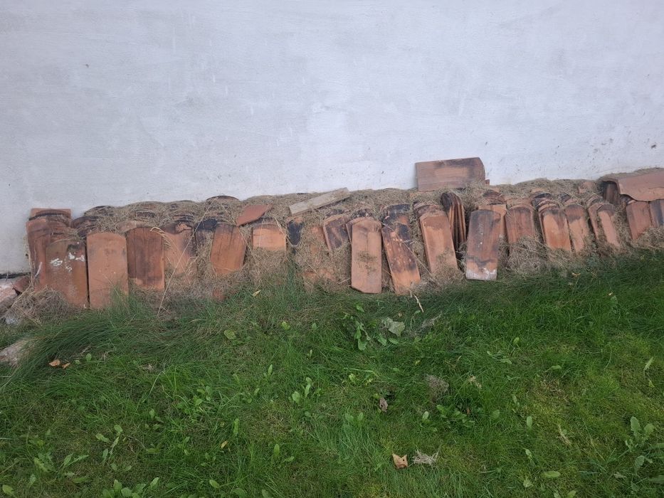 Oddam za darmo Dachówkę