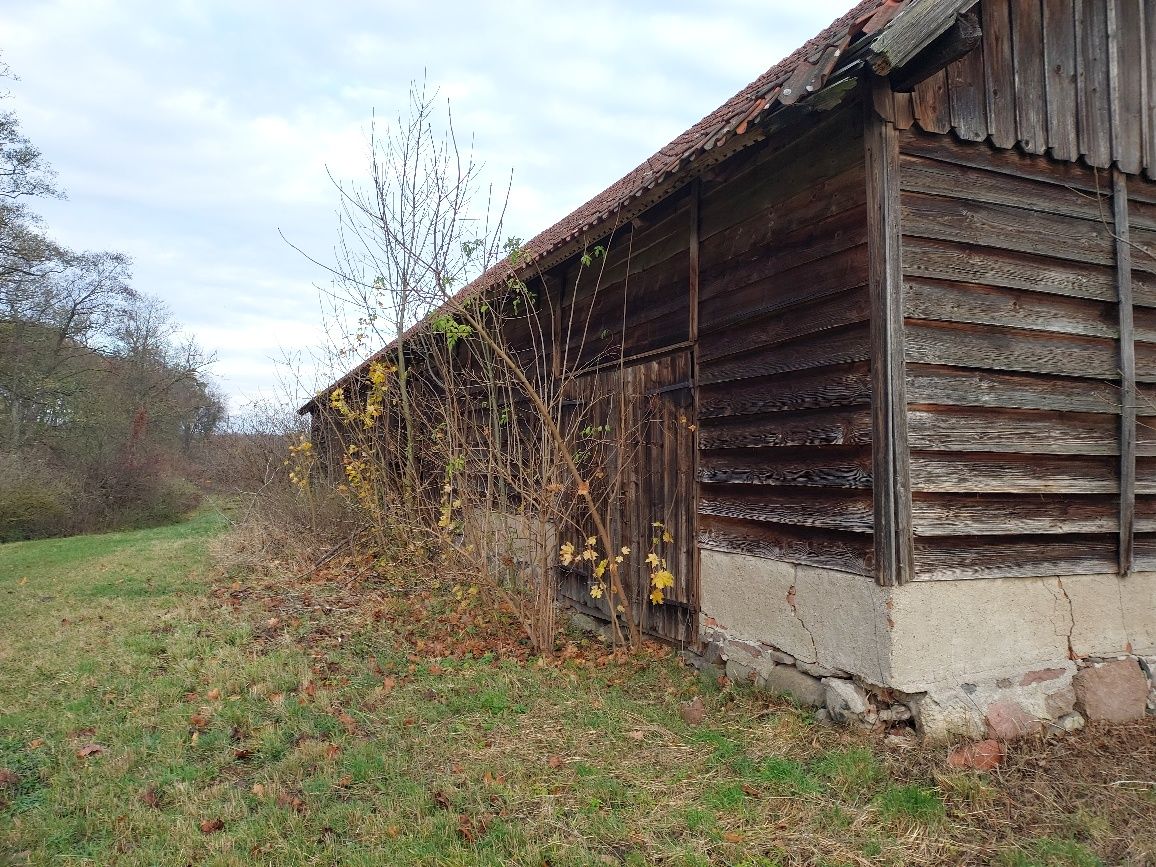 Skup starego drewna rozbiórki stododół