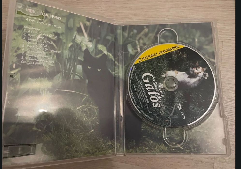 A Vida Secreta dos Gatos