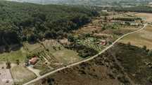 Terreno / Fundão, Enxames