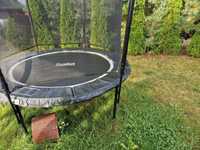 Trampolina Salta Premium Black Edition 244 cm