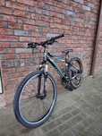 Rower Giant revel (Rama S)
