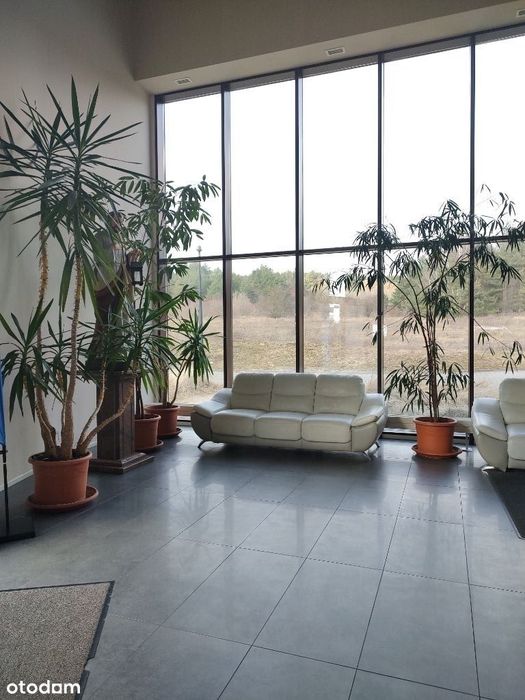 do wynajęcia lokal biurowy 466m2 Fordon