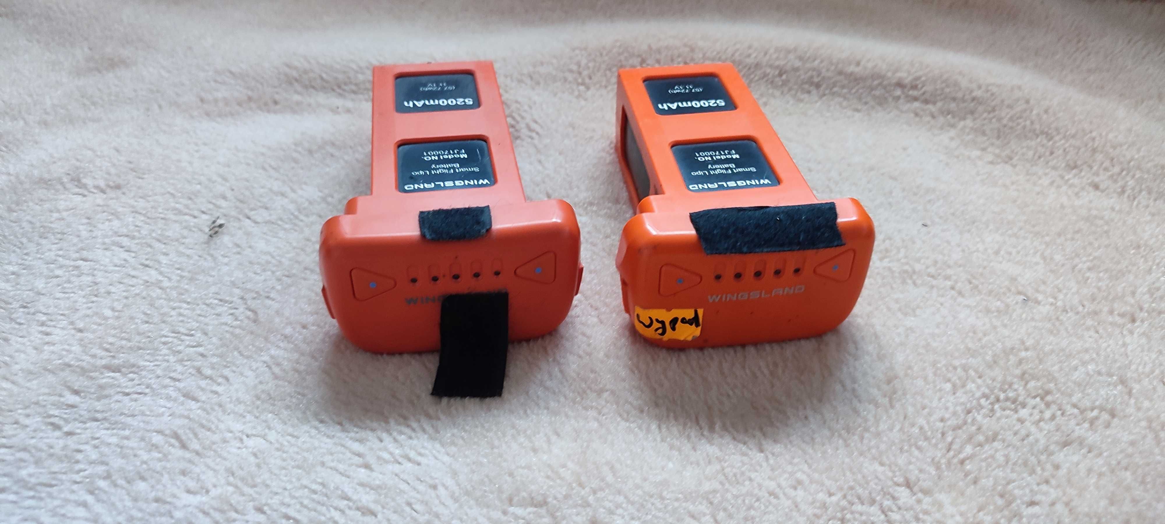 Dron 4x Wingslan Minivet