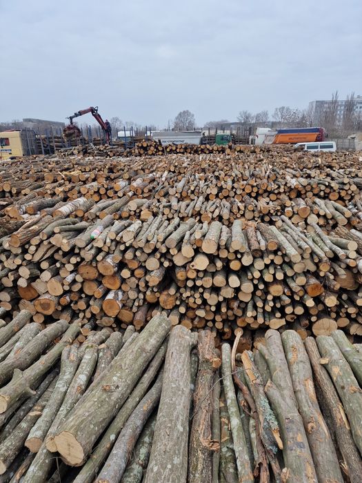 Дрова в Одессе и области