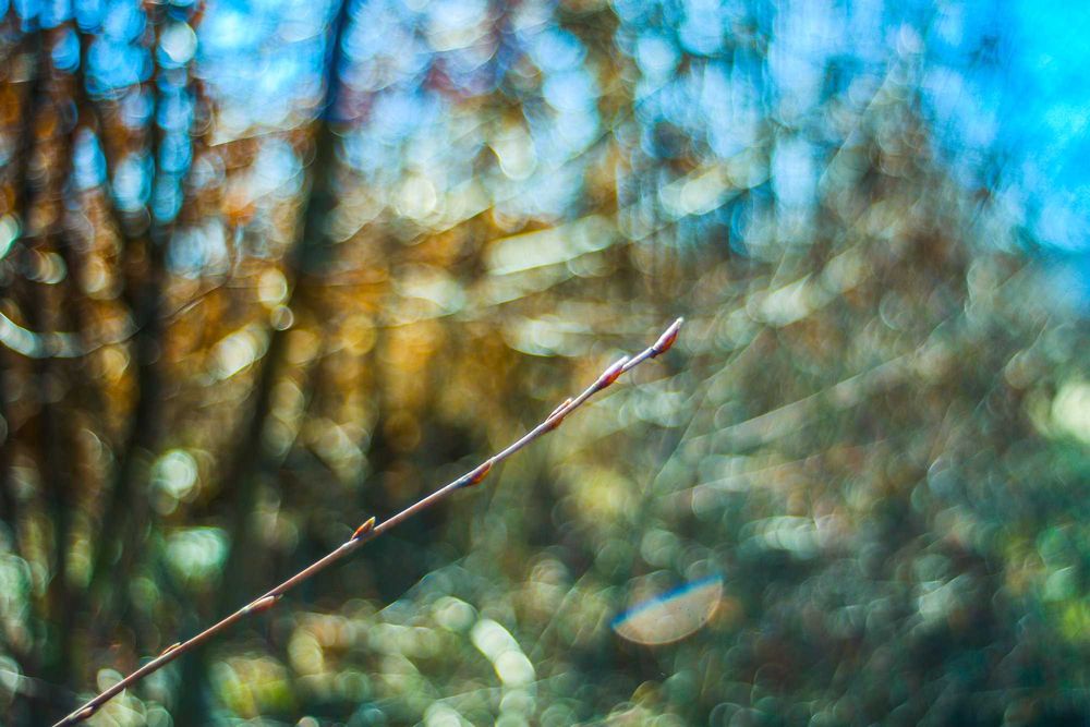 Soligor 35mm 2.8 sony Topcor canon fd m42 leica meike