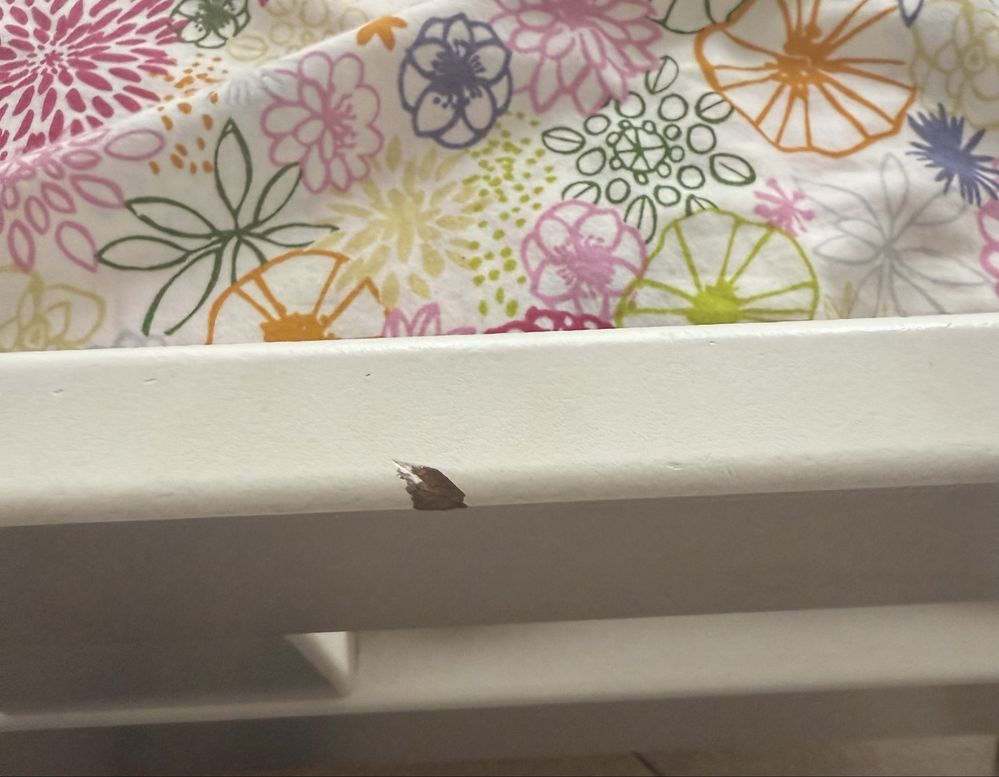 Vendo cama infantil IKEA