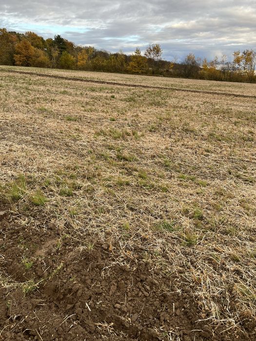 Продам Дискову борону