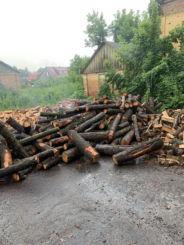 Дрова різних порід