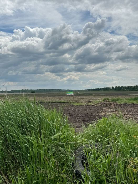 Продам земельну ділянку на Таращанському