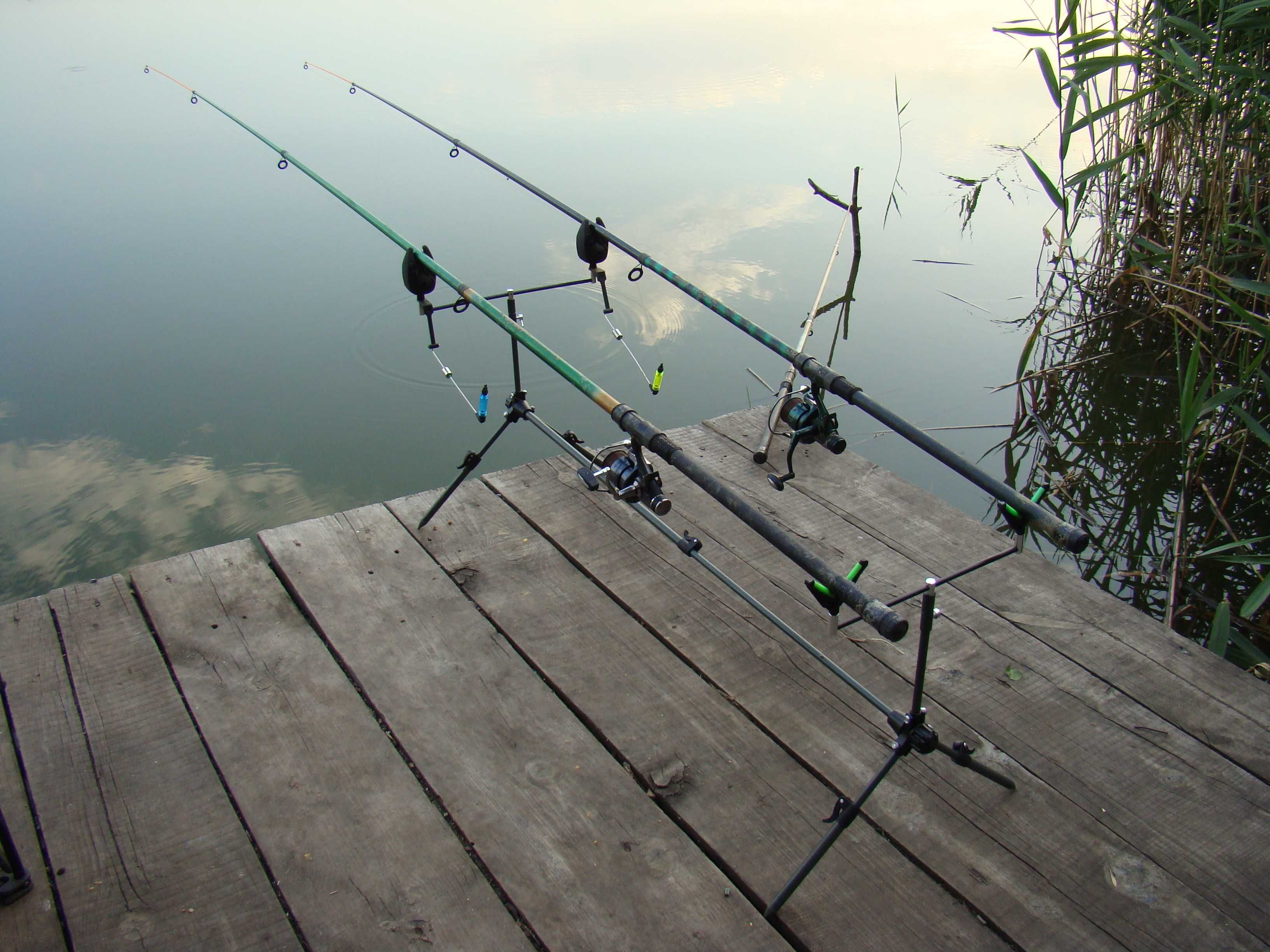 Род-под Carp Pro + Сигнализаторы + Свингера.