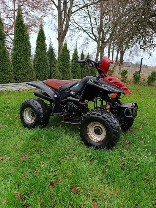 Quad 200 250 Bashan shineray ATV Kingway cross
