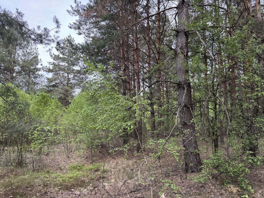 Земельна ділянка. с.Бабинці.